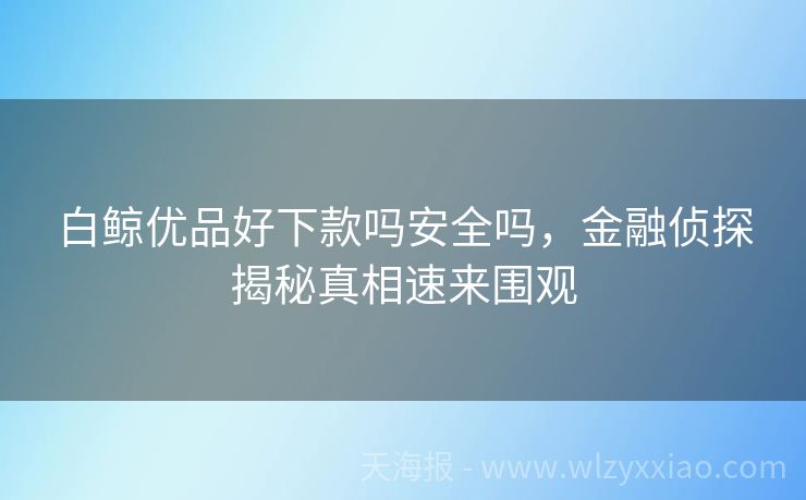 白鲸优品好下款吗安全吗，金融侦探揭秘真相速来围观