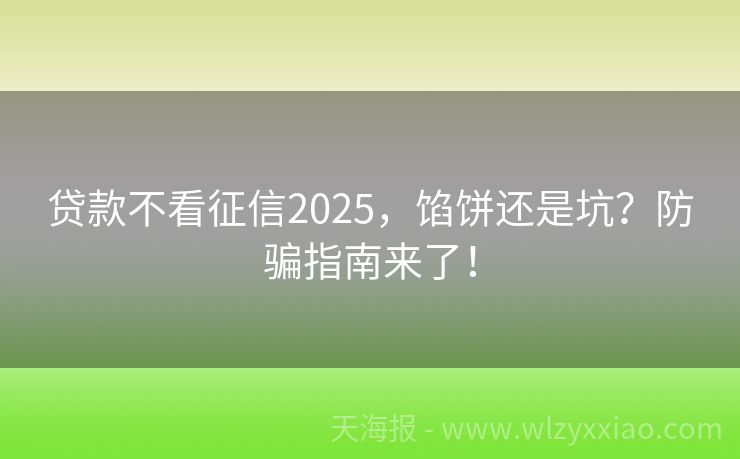 贷款不看征信2025，馅饼还是坑？防骗指南来了！