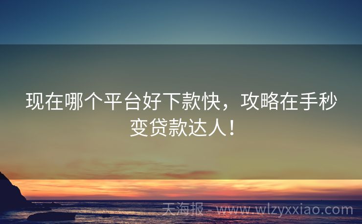 现在哪个平台好下款快，攻略在手秒变贷款达人！