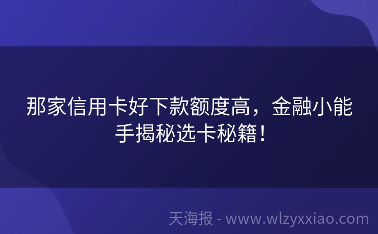 那家信用卡好下款额度高，金融小能手揭秘选卡秘籍！