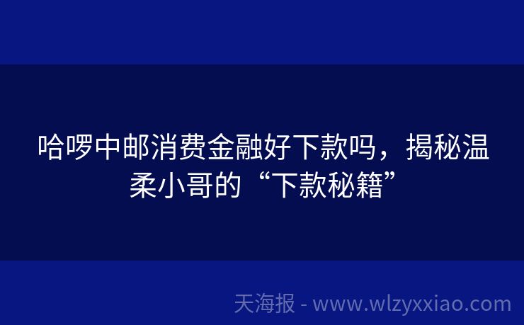 哈啰中邮消费金融好下款吗，揭秘温柔小哥的“下款秘籍”