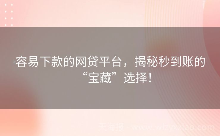 容易下款的网贷平台，揭秘秒到账的“宝藏”选择！
