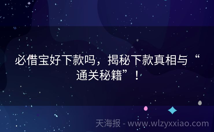 必借宝好下款吗，揭秘下款真相与“通关秘籍”！