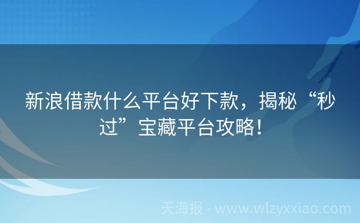 新浪借款什么平台好下款，揭秘“秒过”宝藏平台攻略！