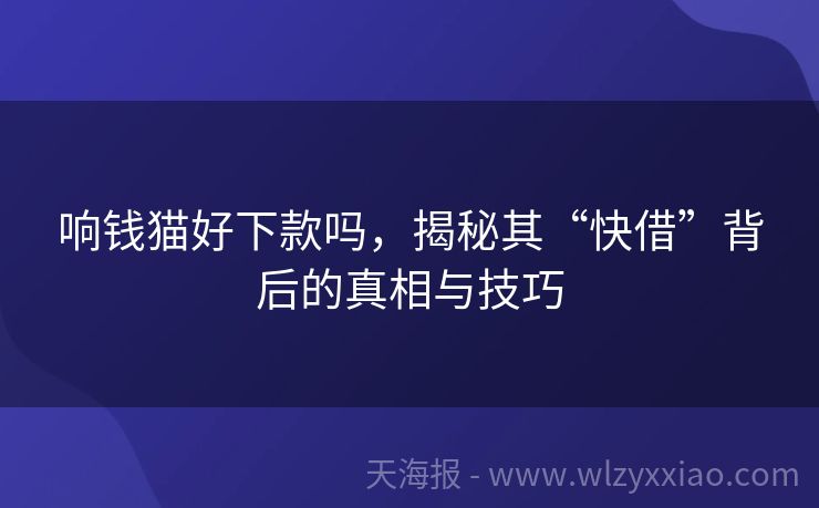 响钱猫好下款吗，揭秘其“快借”背后的真相与技巧