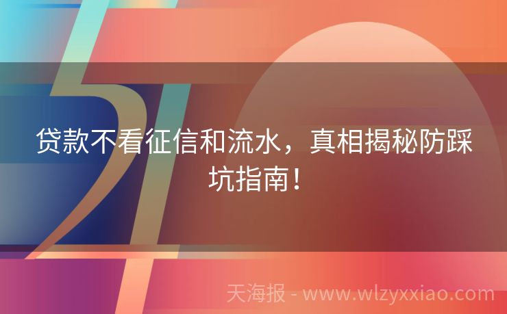 贷款不看征信和流水，真相揭秘防踩坑指南！