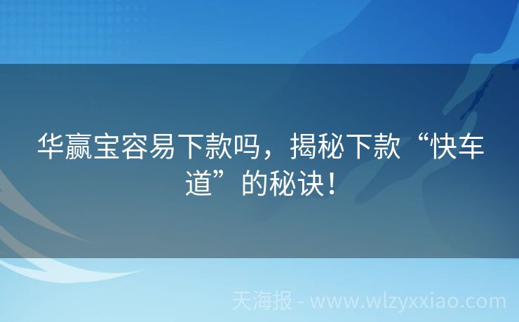 华赢宝容易下款吗，揭秘下款“快车道”的秘诀！