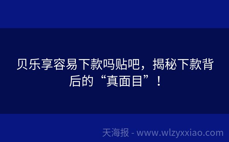贝乐享容易下款吗贴吧，揭秘下款背后的“真面目”！