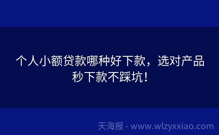 个人小额贷款哪种好下款，选对产品秒下款不踩坑！