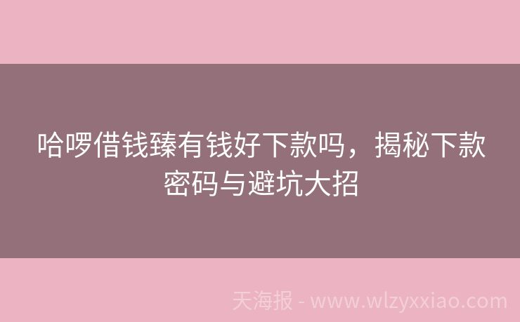 哈啰借钱臻有钱好下款吗，揭秘下款密码与避坑大招