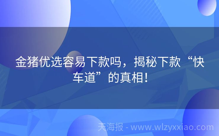金猪优选容易下款吗，揭秘下款“快车道”的真相！