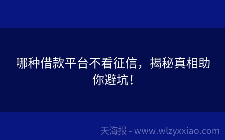 哪种借款平台不看征信，揭秘真相助你避坑！