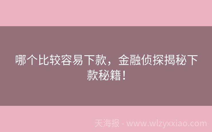 哪个比较容易下款，金融侦探揭秘下款秘籍！