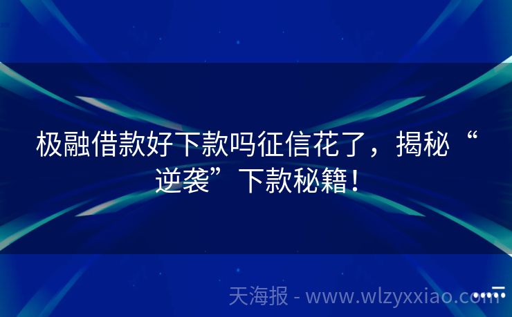极融借款好下款吗征信花了，揭秘“逆袭”下款秘籍！