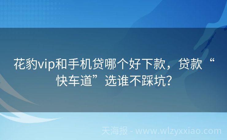 花豹vip和手机贷哪个好下款，贷款“快车道”选谁不踩坑？