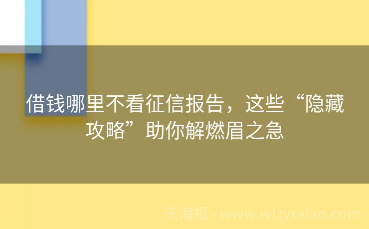 借钱哪里不看征信报告，这些“隐藏攻略”助你解燃眉之急