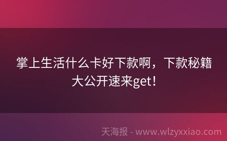 掌上生活什么卡好下款啊，下款秘籍大公开速来get！