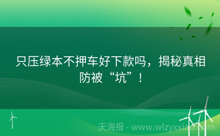 只压绿本不押车好下款吗，揭秘真相防被“坑”!