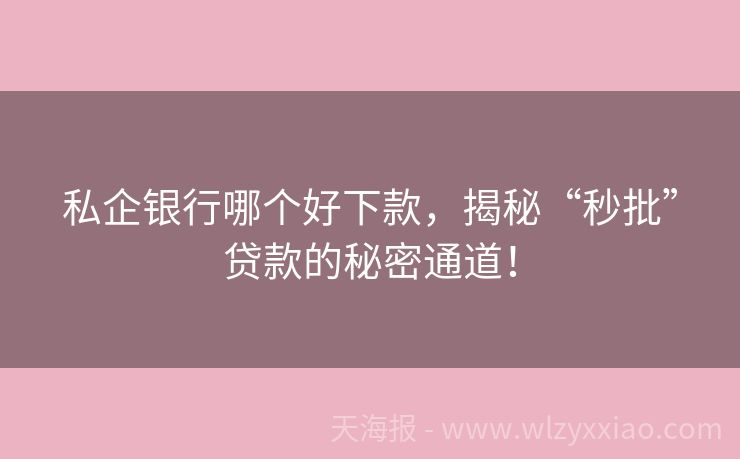私企银行哪个好下款，揭秘“秒批”贷款的秘密通道！