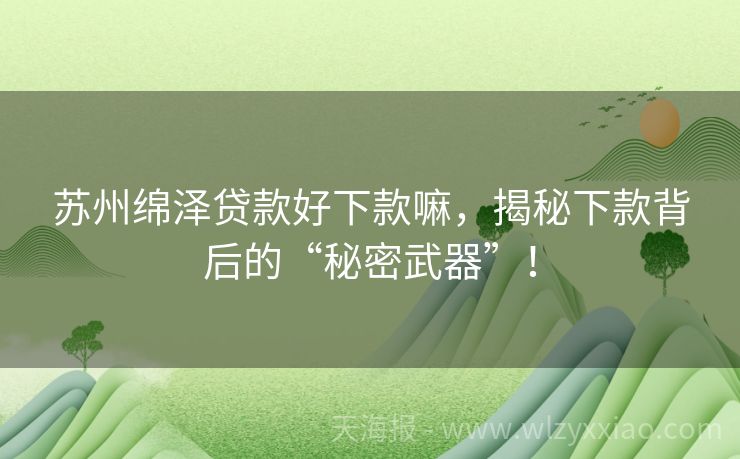 苏州绵泽贷款好下款嘛，揭秘下款背后的“秘密武器”！