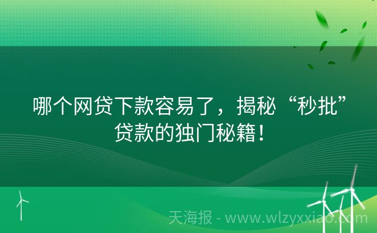 哪个网贷下款容易了，揭秘“秒批”贷款的独门秘籍！