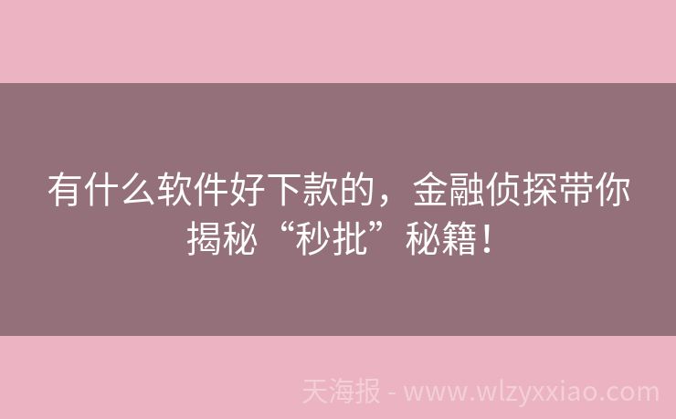 有什么软件好下款的，金融侦探带你揭秘“秒批”秘籍！