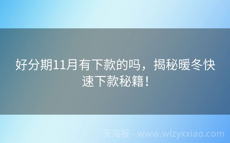 好分期11月有下款的吗，揭秘暖冬快速下款秘籍！