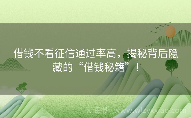 借钱不看征信通过率高，揭秘背后隐藏的“借钱秘籍”！