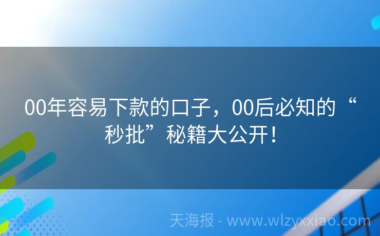 00年容易下款的口子，00后必知的“秒批”秘籍大公开！