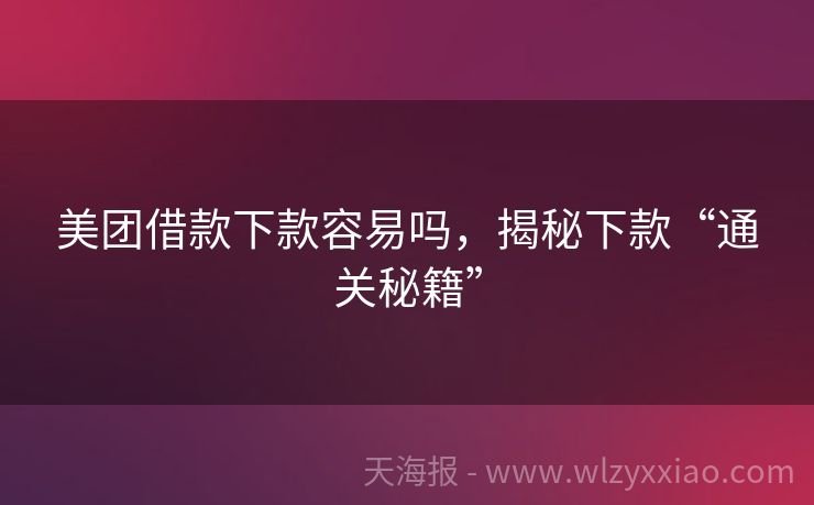 美团借款下款容易吗，揭秘下款“通关秘籍”