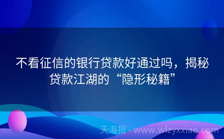 不看征信的银行贷款好通过吗，揭秘贷款江湖的“隐形秘籍”
