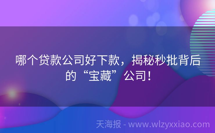 哪个贷款公司好下款，揭秘秒批背后的“宝藏”公司！