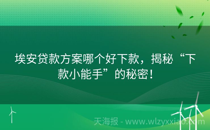 埃安贷款方案哪个好下款，揭秘“下款小能手”的秘密！