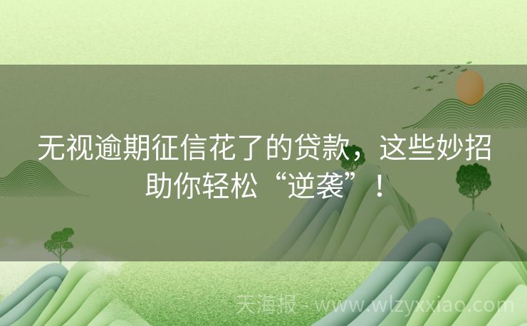 无视逾期征信花了的贷款，这些妙招助你轻松“逆袭”！