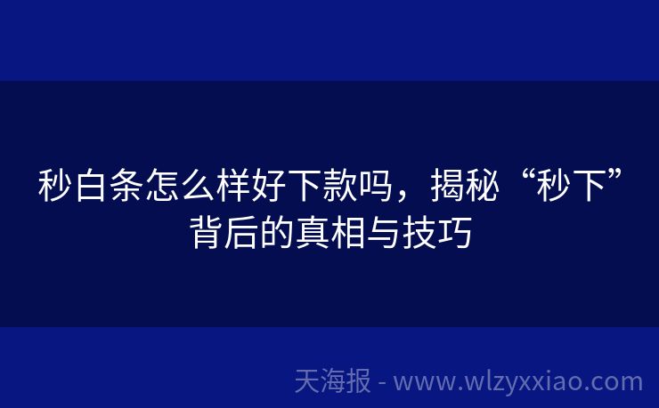 秒白条怎么样好下款吗，揭秘“秒下”背后的真相与技巧