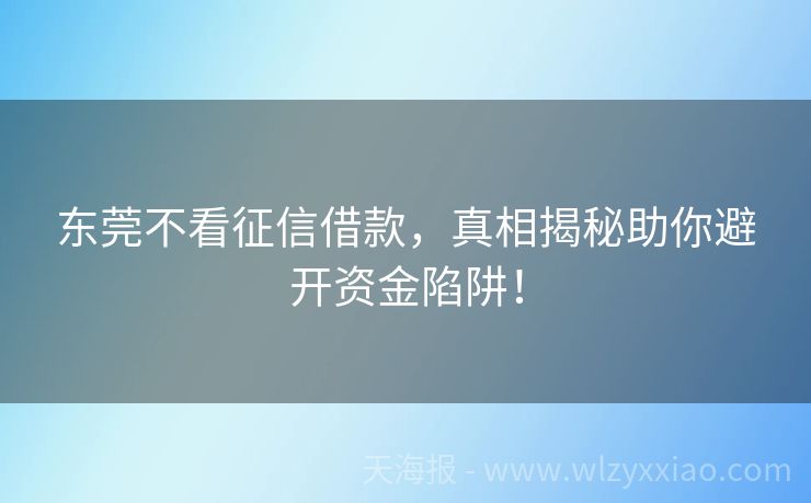 东莞不看征信借款，真相揭秘助你避开资金陷阱！