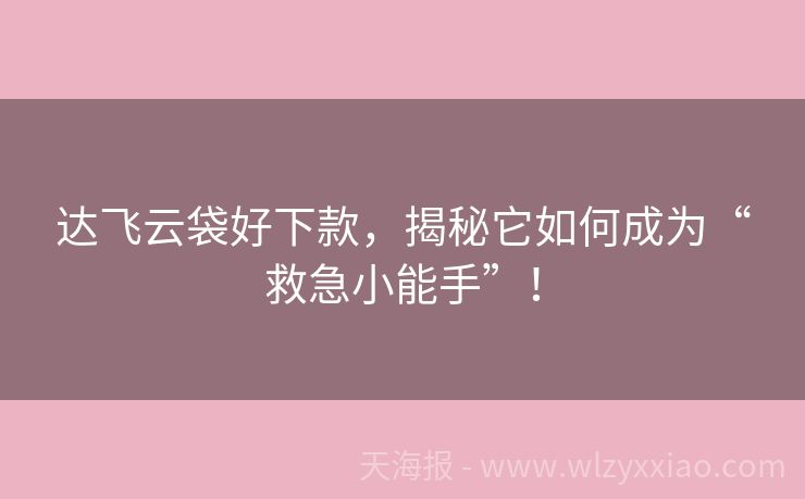 达飞云袋好下款，揭秘它如何成为“救急小能手”！