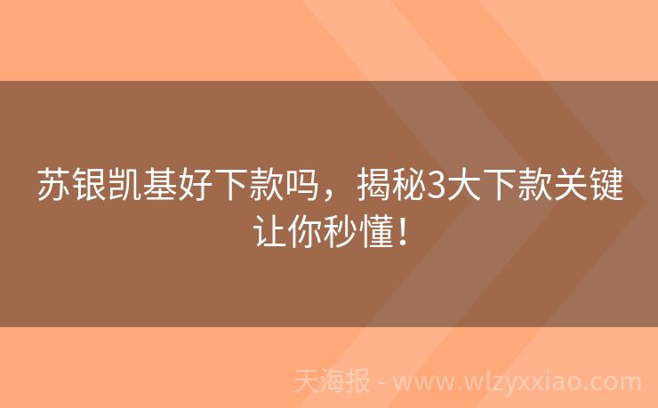 苏银凯基好下款吗，揭秘3大下款关键让你秒懂！