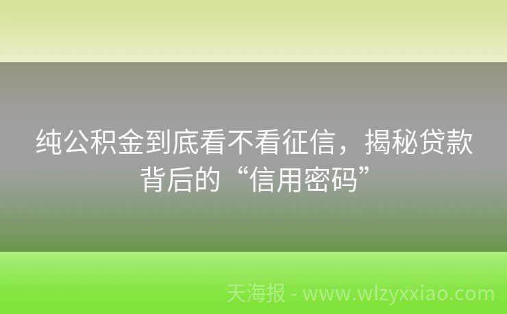 纯公积金到底看不看征信，揭秘贷款背后的“信用密码”