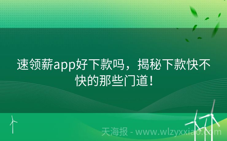 速领薪app好下款吗，揭秘下款快不快的那些门道！