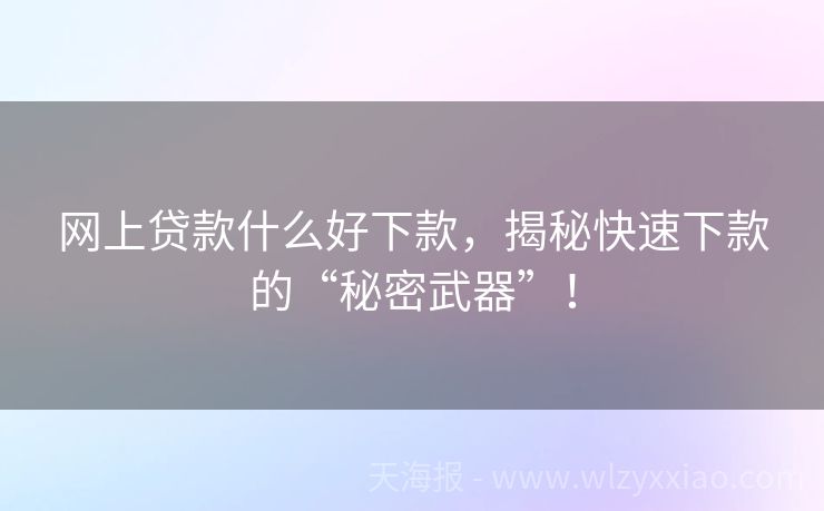 网上贷款什么好下款，揭秘快速下款的“秘密武器”！
