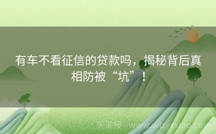有车不看征信的贷款吗，揭秘背后真相防被“坑”！