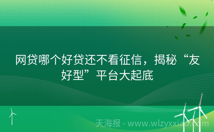 网贷哪个好贷还不看征信，揭秘“友好型”平台大起底