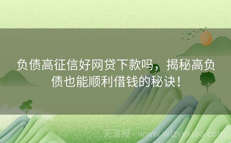 负债高征信好网贷下款吗，揭秘高负债也能顺利借钱的秘诀！