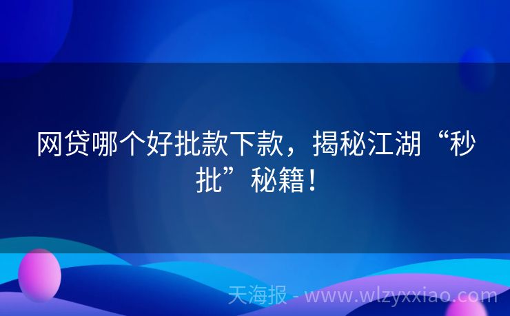 网贷哪个好批款下款，揭秘江湖“秒批”秘籍！