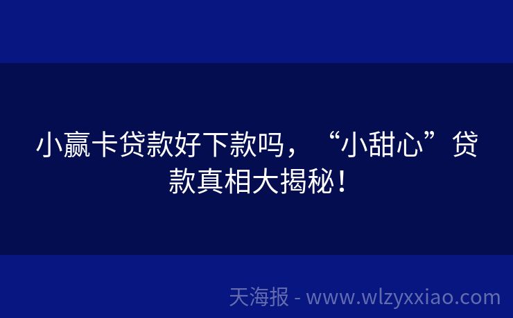 小赢卡贷款好下款吗，“小甜心”贷款真相大揭秘！