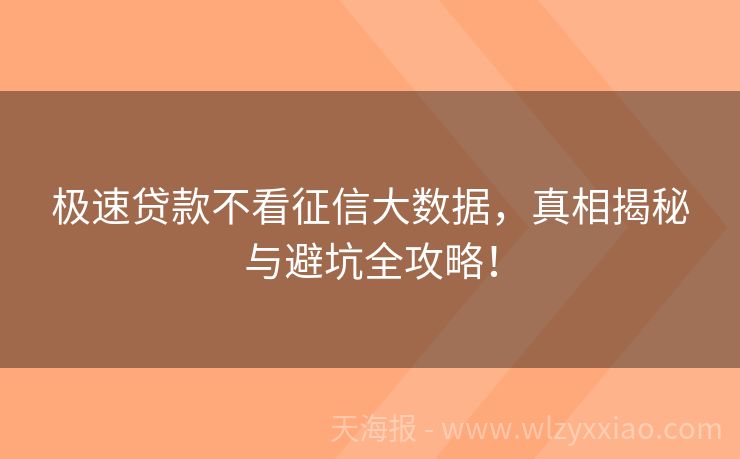 极速贷款不看征信大数据，真相揭秘与避坑全攻略！