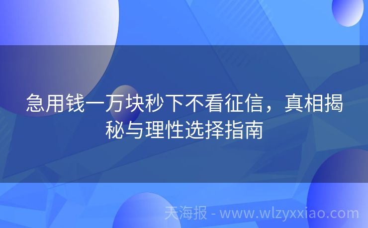 急用钱一万块秒下不看征信，真相揭秘与理性选择指南