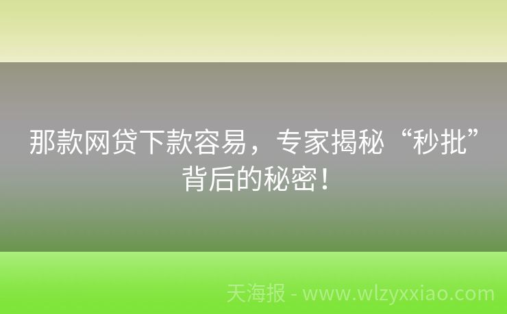 那款网贷下款容易，专家揭秘“秒批”背后的秘密！