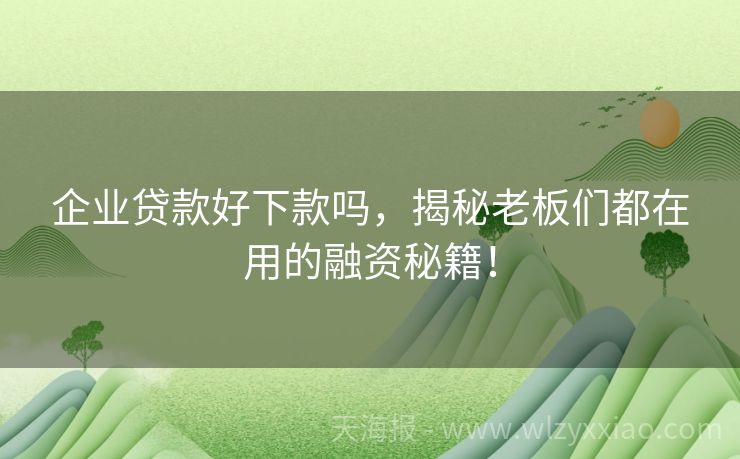 企业贷款好下款吗，揭秘老板们都在用的融资秘籍！
